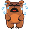 Crying Bear Crying Bear